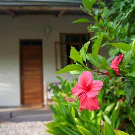 Kendwa Breeze Bungalows Exterior photo
